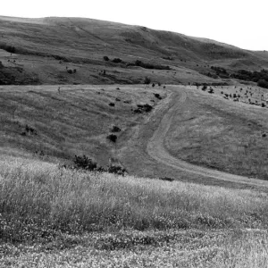 The general area, between Penrebach and Troedyrhiw, where a proposed development