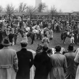 A general view of the paddock before the horses took the field at the Grand national race A general view of the paddock before the horses took the field at the Grand national race