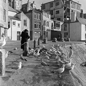 A general view of The Wharf, St Ives, Cornwall. 15th February 1954