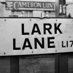 General views of Lark Lane, Liverpool, Merseyside. 25th November 1992 General views of Lark Lane, Liverpool, Merseyside. 25th November 1992