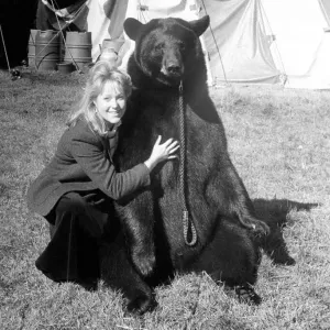 Gentle giant Odin the bear Gentle giant Odin the bear