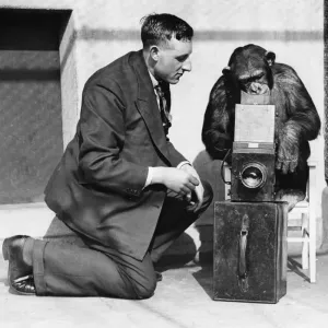 George Greenwell Daily Mirror photographer seen here in the monkey house at London Zoo George Greenwell Daily Mirror photographer seen here in the monkey house at London Zoo