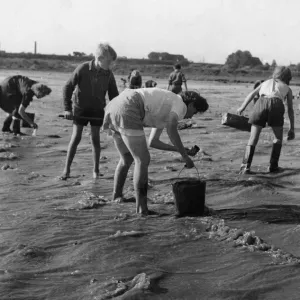 A German woman wears shorts for her work as they recover coal from the River Elbe A German woman wears shorts for her work as they recover coal from the River Elbe