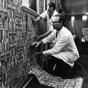Getting on with their voluntary wallpapering job in Ward B1 at Rubery Hill Hospital Getting on with their voluntary wallpapering job in Ward B1 at Rubery Hill Hospital