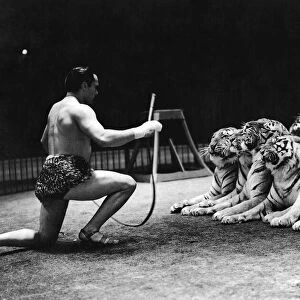 Gilbert Honch and tigers at Belle Vue Manchester. January 1947 P009686