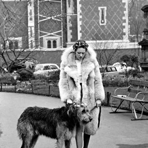 Girl and Dog in Curlers. Model Victoria Burgyne and Irish Wolf Hound "Jasper"