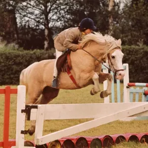 A girl rides hers horse over one of the jumps during Gymkhana at Luddesdown A girl rides hers horse over one of the jumps during Gymkhana at Luddesdown