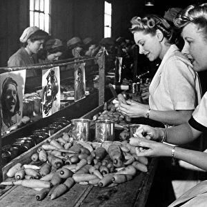 Girls at a canning factory in Boston, Lincs, making Blitz soup which will be used for