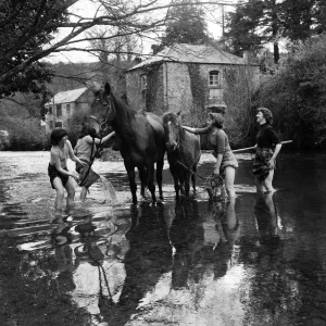 Girls washing horses at Notter Farm, Cornwall. 28th April 1952 Girls washing horses at Notter Farm, Cornwall. 28th April 1952