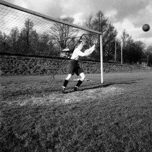 Goalkeeper David Hole dives to try and save the ball going into the goal January Goalkeeper David Hole dives to try and save the ball going into the goal January