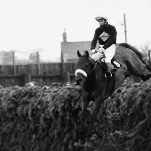 Grand National 1973 Red Rum ridden by Brian Fletcher jumps a fence and goes on to win