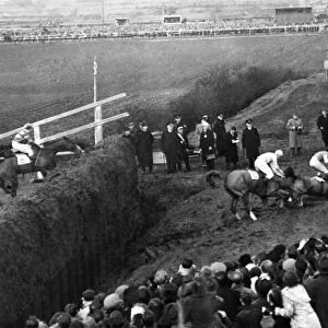 Grand National: The horse lying third falls; on fourth horse falls / third