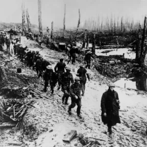 The Great War, ( First World War, WW1, World War One ). Mud, lice, desolation The Great War, ( First World War, WW1, World War One ). Mud, lice, desolation