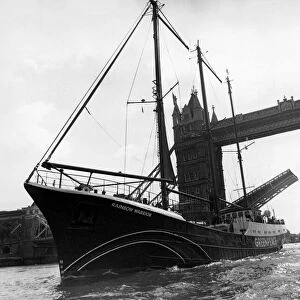 The Greenpeace ship Rainbow Warrior passes beneath Tower Bridge