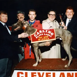 Greyhound Movealong Sam'is on the rostrum after winning Cleveland Park