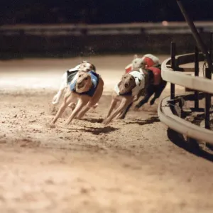 Greyhound Racing at Cleveland Park Stadium in Middlesbrough. 5th April 1994