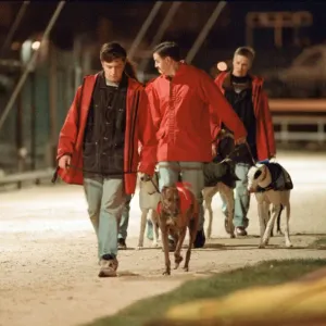 Greyhound Racing at Cleveland Park Stadium in Middlesbrough. 5th April 1994