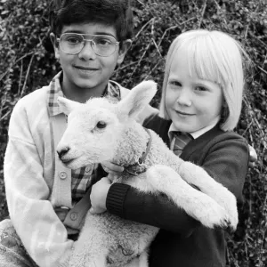 Grinning Sheepishly: Amman, Chloe and Snowy the Lamb Print