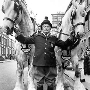 Groom Ernest Marks with Whitbreads shirehorses Hengist and Horsa in 1973