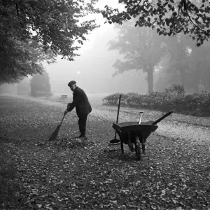 One of the groundsmen at the War Memorial Park, Coventry sweeps up the fallen autumn