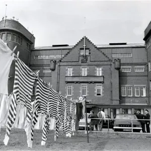 Hampden Park Washing Line Print 1971