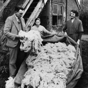 Hampshire wool being treated on arrival at the mill. 28th November 1934 Hampshire wool being treated on arrival at the mill. 28th November 1934