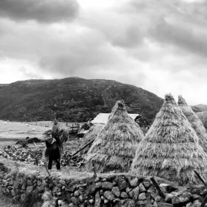A hardy crofter at work near Stornaway on the island of Lewis in the Outer Hebrides A hardy crofter at work near Stornaway on the island of Lewis in the Outer Hebrides