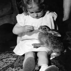 Hare Raising: Heres a hare-raising story thats true