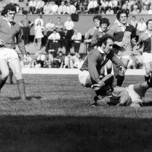 Harlequins v Llanelli 18th September 1971 P Bennett No 10 of Llanelli not satisfied with Harlequins v Llanelli 18th September 1971 P Bennett No 10 of Llanelli not satisfied with