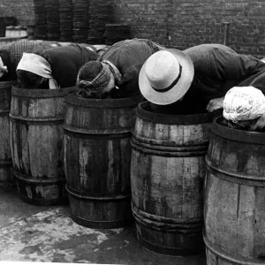 Hat fashions seen at Yarmouth as fisher girls bend over barrels whilst packing herring
