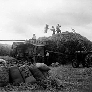 Hay threshing at Holbeton. Circa 1949