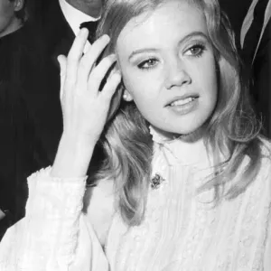 Hayley Mills and husband Roy Boulting Print - 20th October 1967 Hayley Mills and husband Roy Boulting Print - 20th October 1967