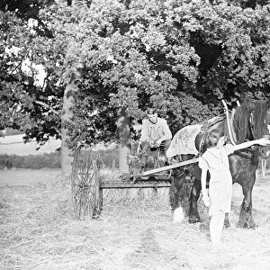 Haymaking at Penshurst July 1939