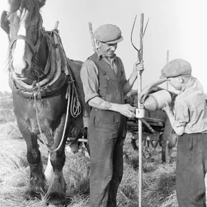 Haymaking at Penshurst July 1939 Haymaking at Penshurst July 1939