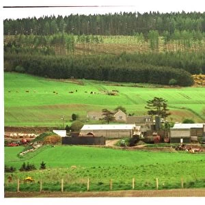 Hector Dick farm Hillside May 1999