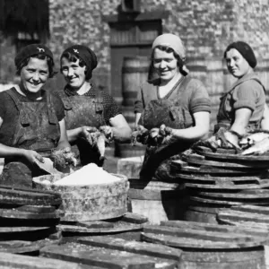 La Pêche au Hareng Continue - Les Filles de Pêcheurs Écossaises Empaquent des Harengs pour l'Exportation.