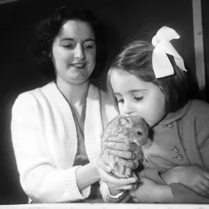 Hes fluffy and cuddly. Wendy Harrison seen here with one of the baby Chinchilla Hes fluffy and cuddly. Wendy Harrison seen here with one of the baby Chinchilla