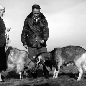 Hilbre Island custodian Charles Clifton and his wife Jean feeding their two goats Hilbre Island custodian Charles Clifton and his wife Jean feeding their two goats