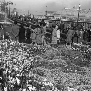 I turisti di vacanza che godono le feste pasquali ad Eastbourne, Sussex. 15 aprile 1949.
