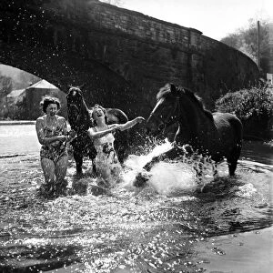 Holidays. Two girls cool off with their horses at Landralle, Cornwall. April 1953 D2099