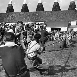 A Hop Festival is taking place today and tomorrow at the Whit breads 1100 acre farm
