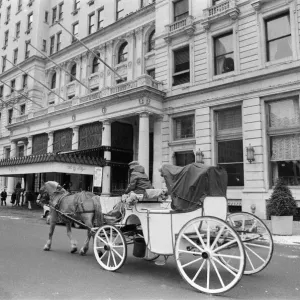 Horse-Drawn Carriage Print Near The Plaza Hotel