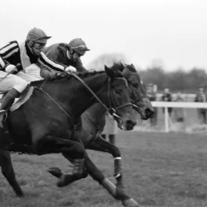 La carrera de caballos en Windsor. Igualado (Jeff King) está al paso con Egbert. La carrera de caballos en Windsor. Igualado (Jeff King) está al paso con Egbert.