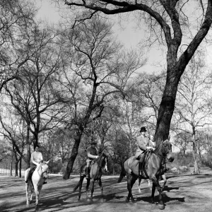 Horse Riding on Rotten Row, Hyde Park Print 22nd April 1954 Horse Riding on Rotten Row, Hyde Park Print 22nd April 1954