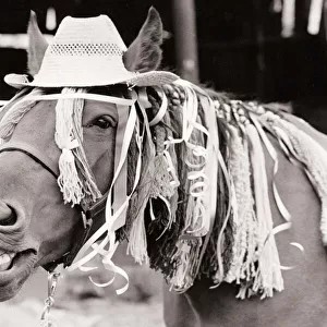 A horse wearing a hat and unusual bangs for his hair, whinnying with his mouth open