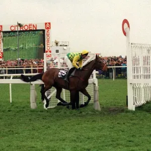 Horseracing Grand National Aintree April 1993 Horses