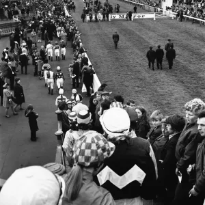 The horses and jockeys for the Daily Mirror Womens Race are parade before the grandstand The horses and jockeys for the Daily Mirror Womens Race are parade before the grandstand
