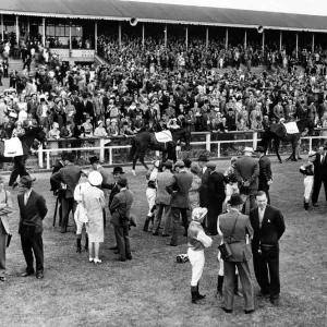 Horses about to take part in the Northumberland Plate on saturday walk around the parade