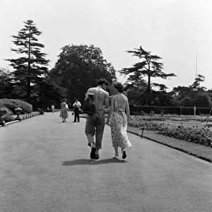 Horticultural students working at the Royal Botanical Gardens, Kew. 18th June 1957