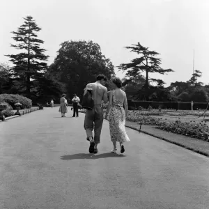 Horticultural students working at the Royal Botanical Gardens, Kew. 18th June 1957 Horticultural students working at the Royal Botanical Gardens, Kew. 18th June 1957